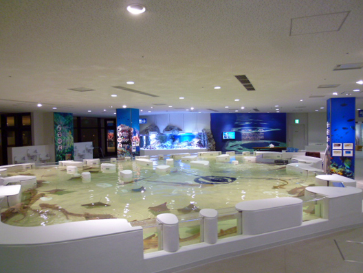 海遊館企画展造作工事